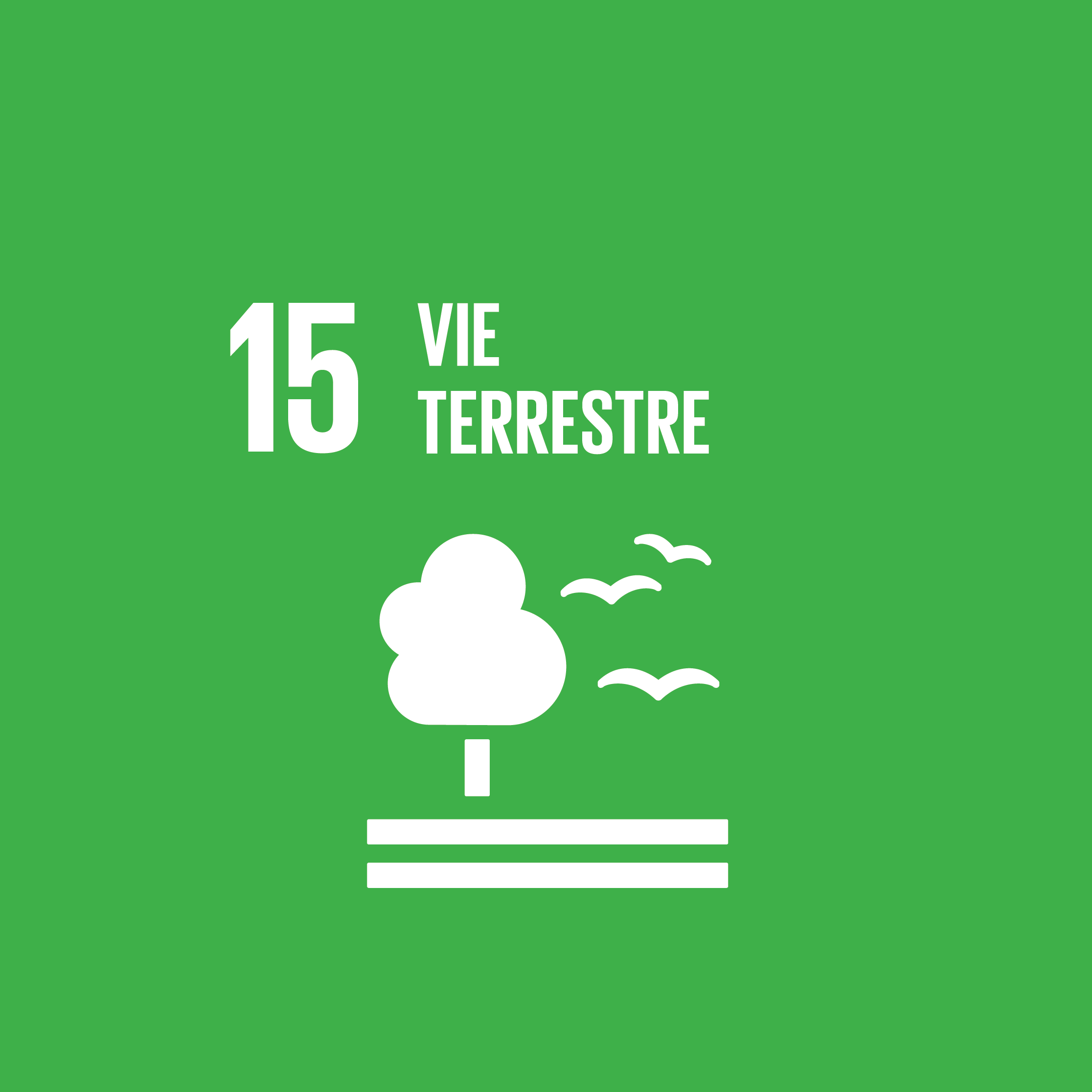 ODD 15-Préserver et restaurer les écosystèmes terrestres